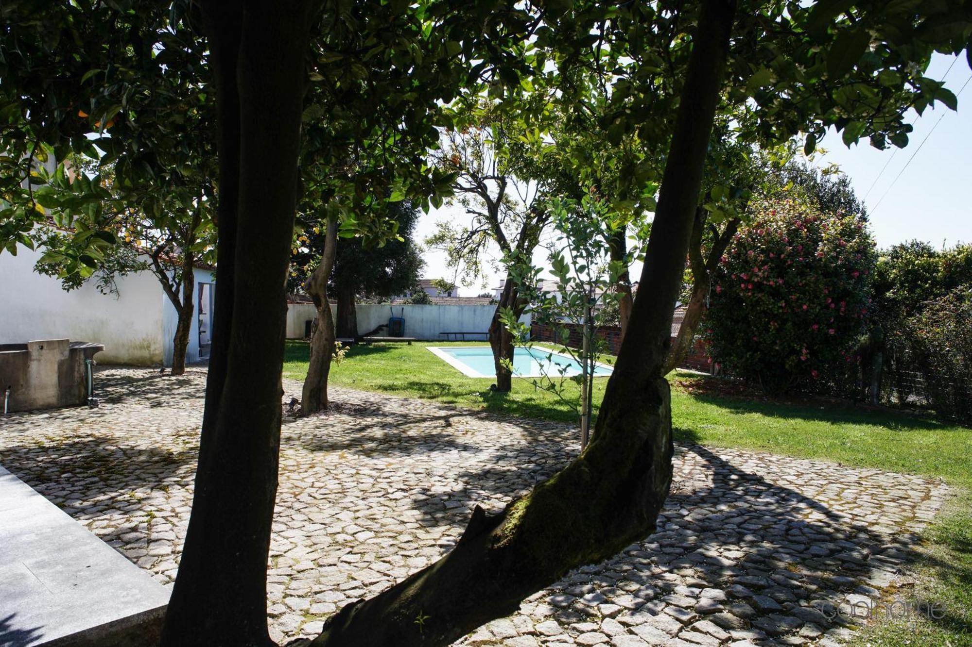 12 Casa D'Avo Villa Albergaria-a-Velha Buitenkant foto